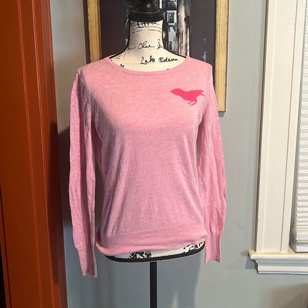 Old Navy Lightweight Bird Graphic Sweater (M) - Picture 1 of 7